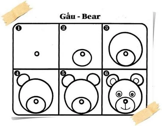 cách vẽ con gấu