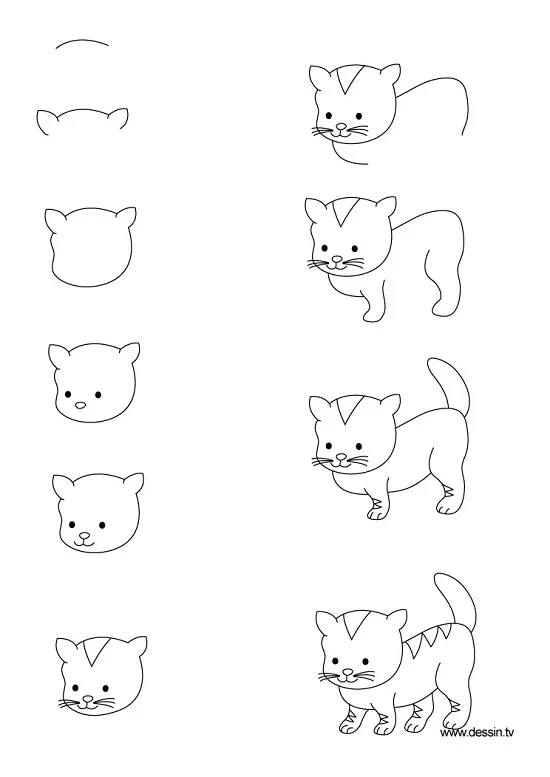 cách vẽ con mèo