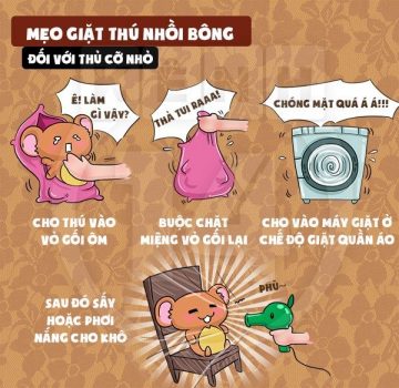 meo vat voi tu quan ao