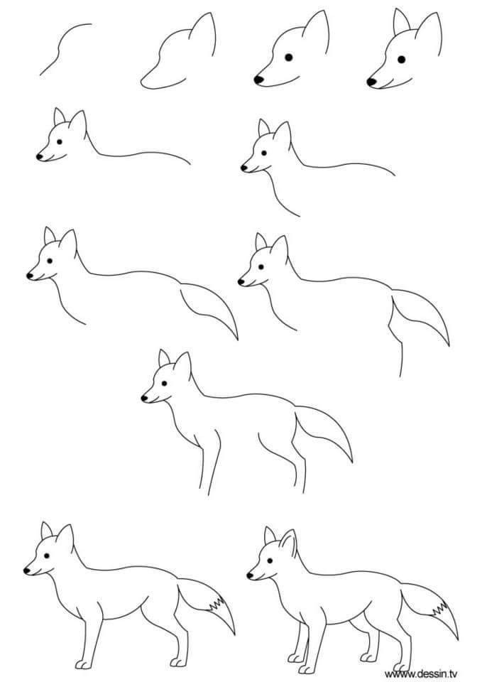 cách vẽ con chó sói