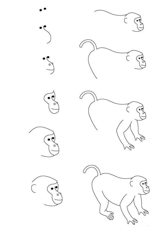 cách vẽ con khỉ