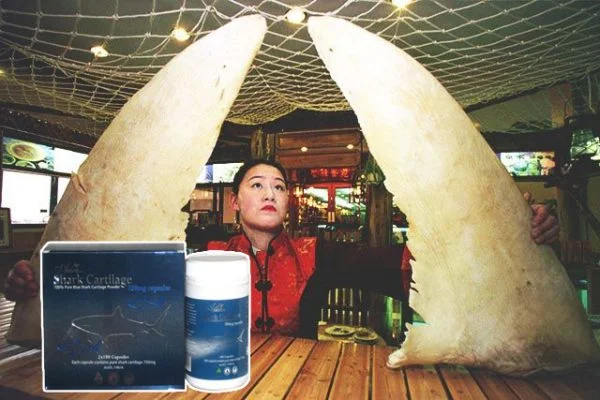 cach su dung uong sun vi ca map e1517459816756