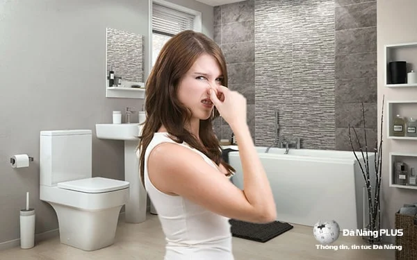 + 3 dấu hiệu và cách xử lý bể phốt bị đầy hiệu quả nhất 7 cach xu ly be phot bi day