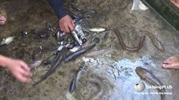 + 3 dấu hiệu và cách xử lý bể phốt bị đầy hiệu quả nhất 10 cach xu ly be phot bi day3