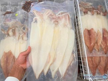 Mực một nắng cảng cá Thọ Quang