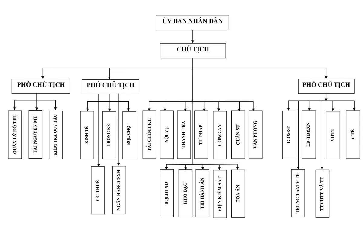 Cơ cấu tổ chức UBND quận Sơn Trà