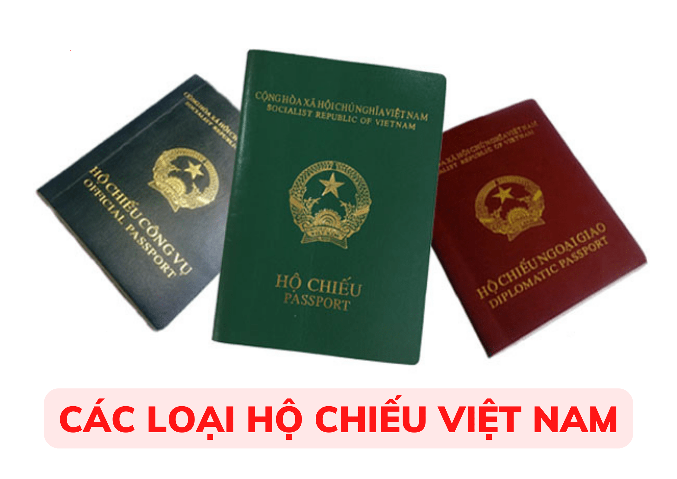 Phân loại hộ chiếu Việt Nam