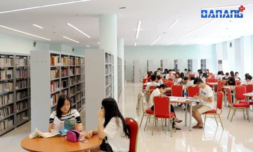 Danh sách 7 thư viện Đà Nẵng đáng lựa chọn