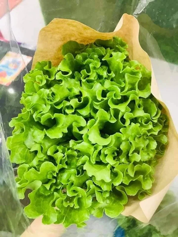 cung cấp rau sạch tại đà nẵng