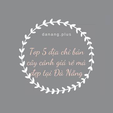 top 5 dia chi ban cay canh re dep tai da nang