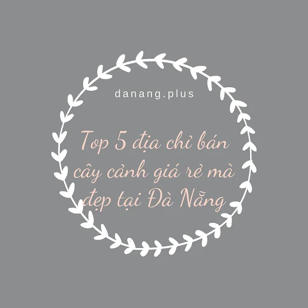 Cây cảnh đà nẵng