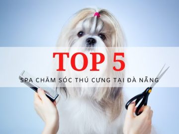 spa thú cưng đà nẵng