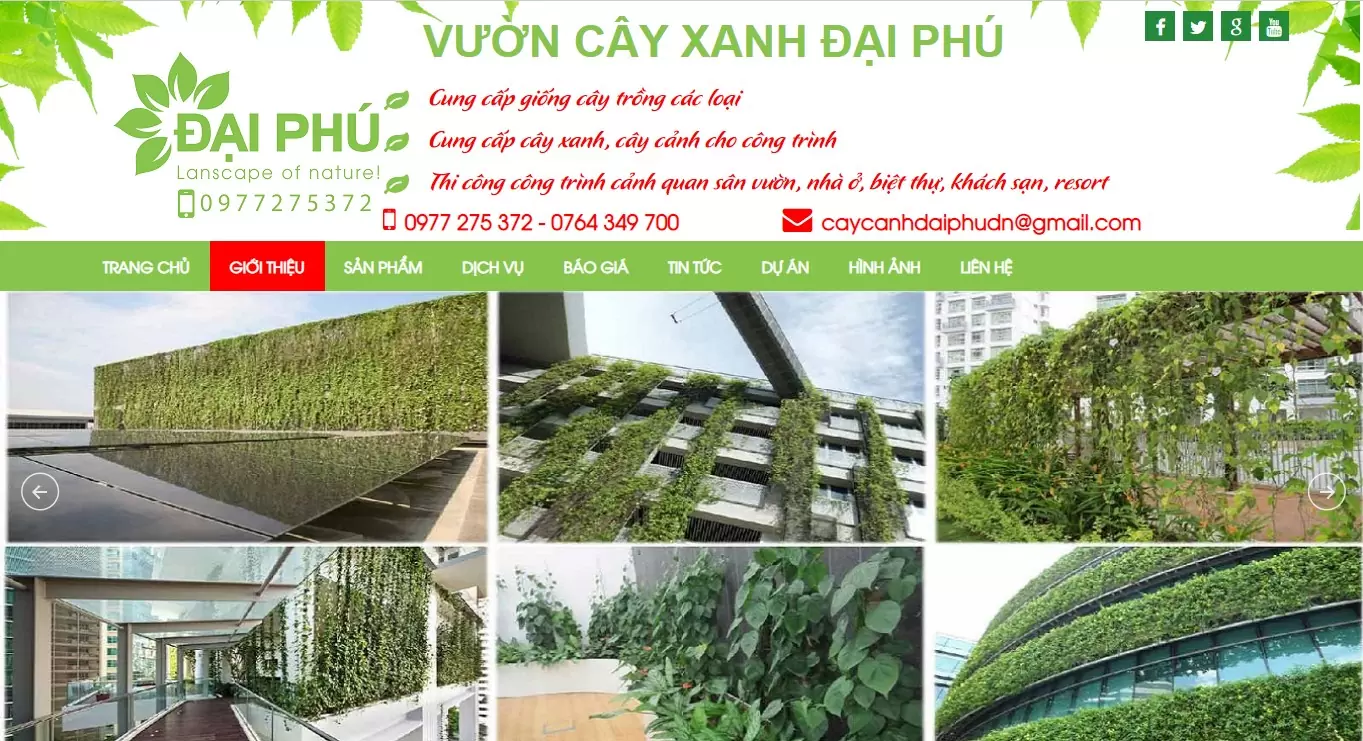 cây cảnh đại phú đà nẵng