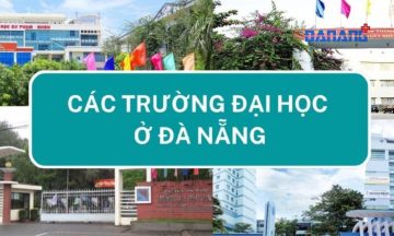cac truong dai hoc o da nang 5