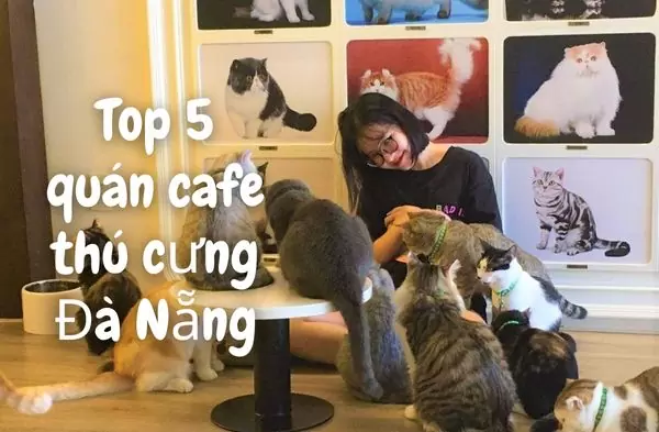 cafe thú cưng đà nẵng