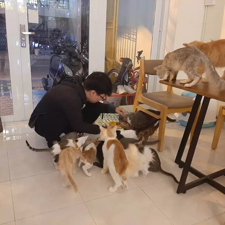 cà phê thú cưng ở đà nẵng