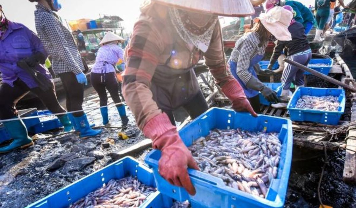 Chợ Hàn - Chợ hải sản tươi Đà Nẵng
