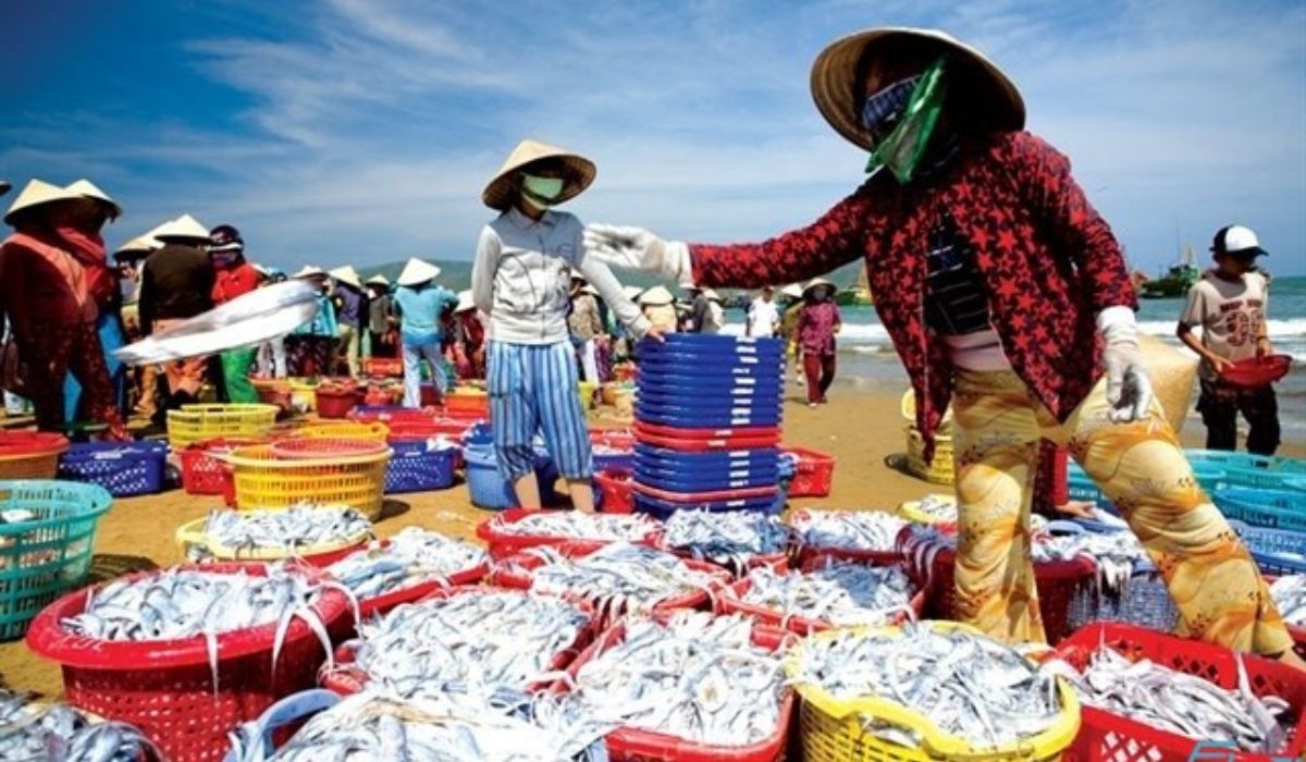 Chợ hải sản tươi Đà Nẵng