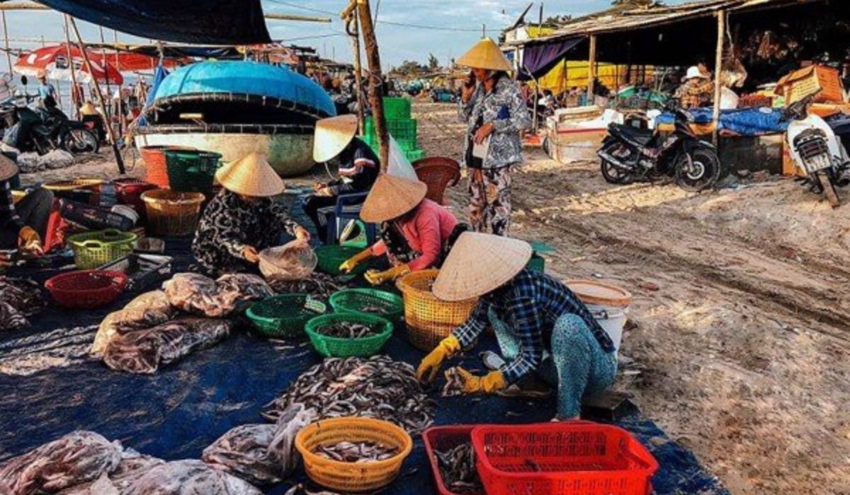 Nên đi chợ hải sản Đà Nẵng vào thời gian nào