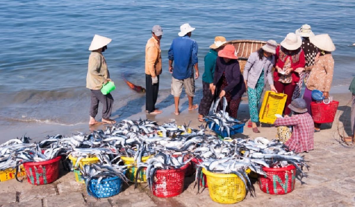 chợ hải sản đà nẵng nổi tiếng