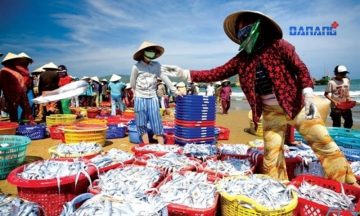 Top 10 chợ hải sản Đà Nẵng nổi tiếng nhất