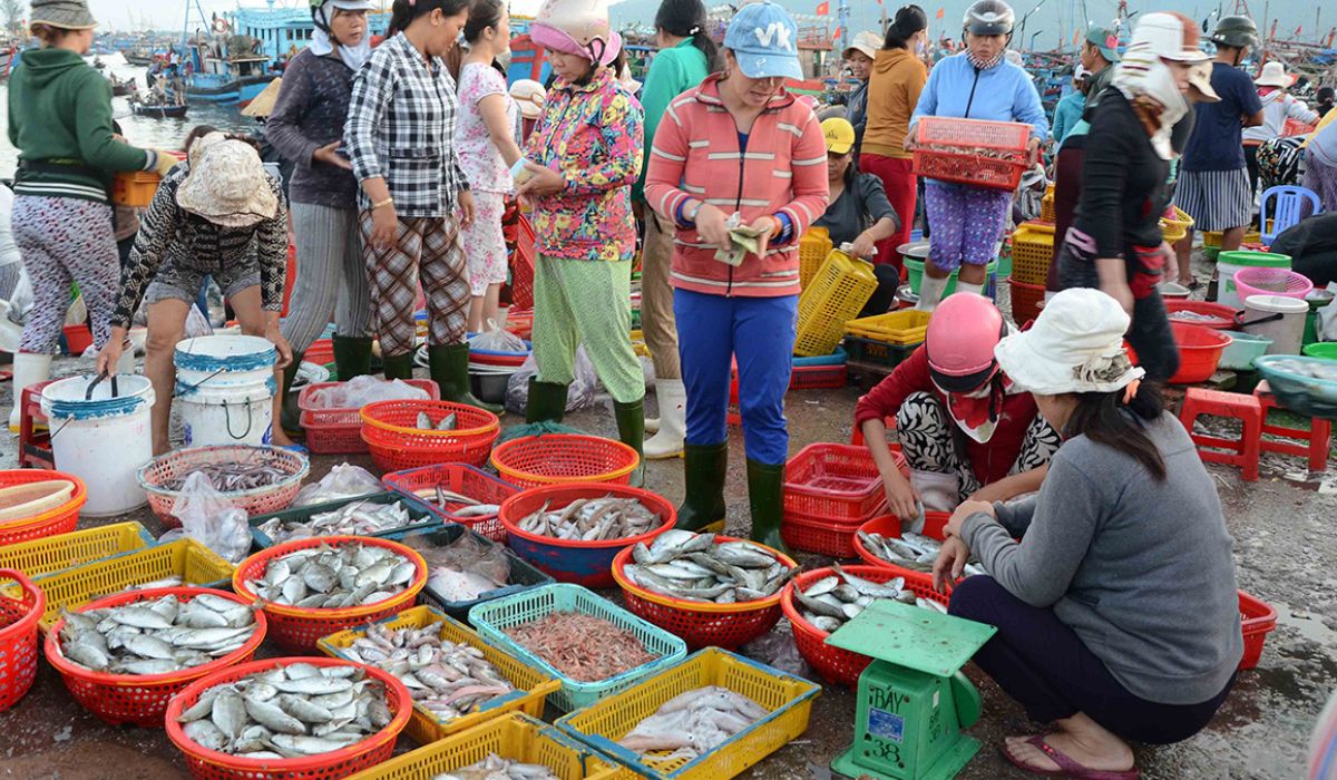 Chợ chiều hải sản ở Đà Nẵng