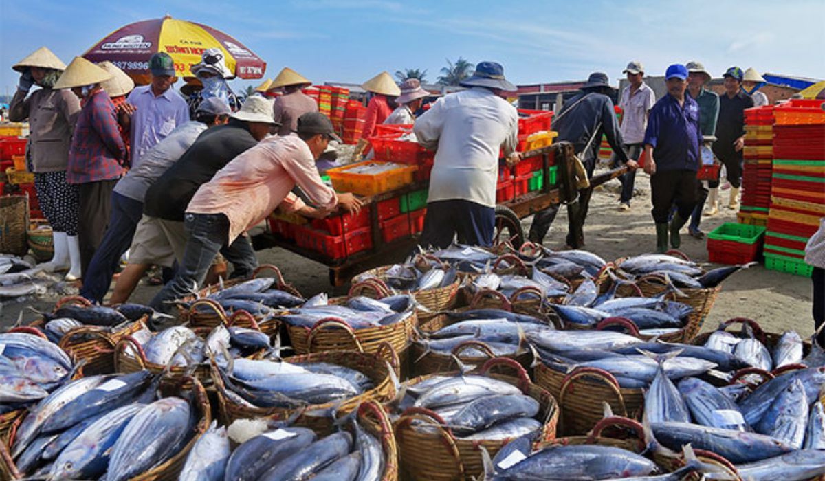 Chợ hải sản Thọ Quang ở Đà Nẵng
