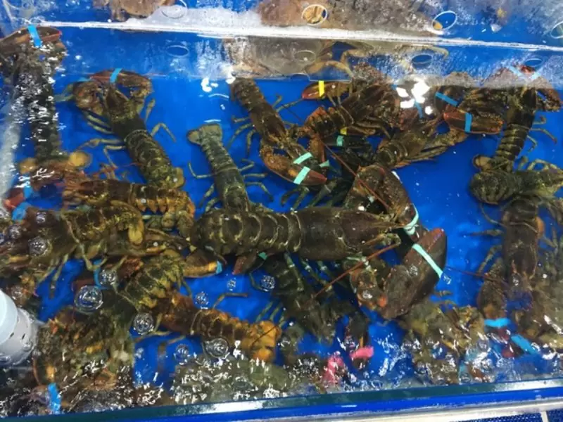 Hải Sản Cua Biển 1