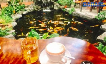 cafe cá Koi Đà Nẵng
