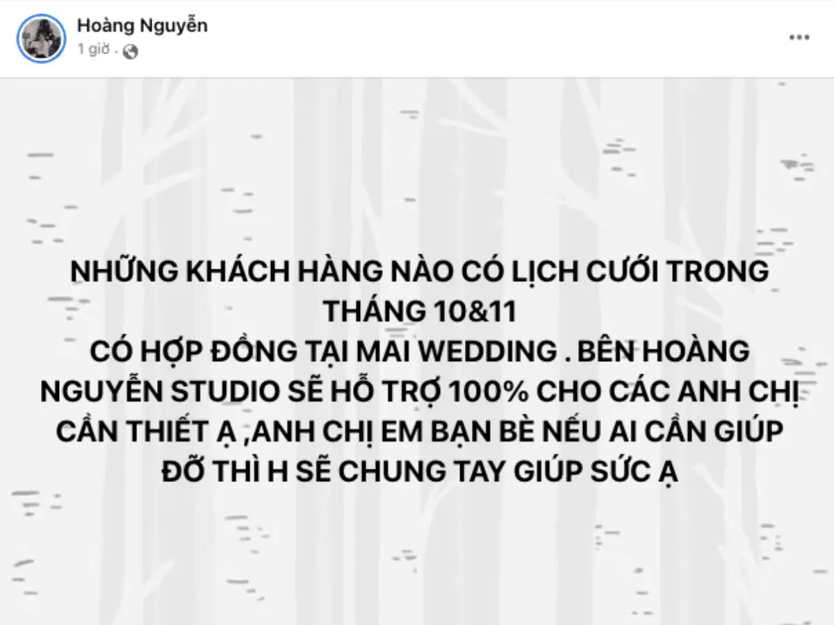 Toàn cảnh vụ áo cưới Mai Wedding lùm xùm vỡ nợ 300 tỷ 29 Áo cưới Mai Wedding phá sản