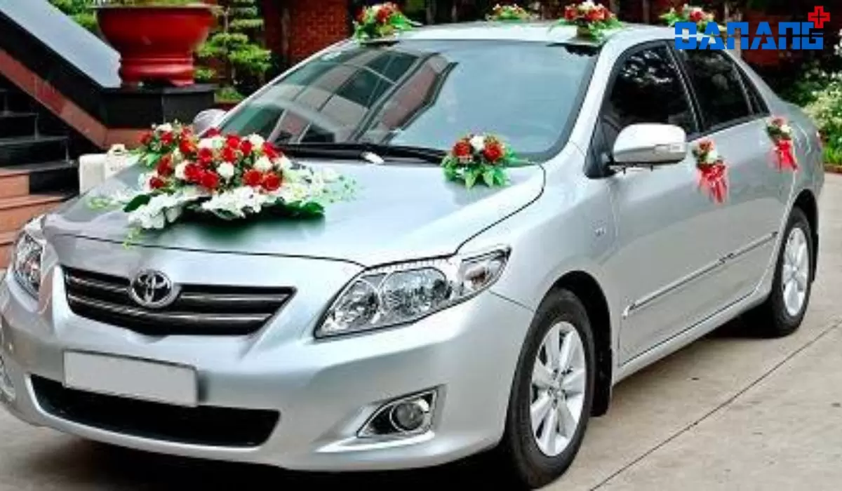 Top 10 địa chỉ thuê xe cưới hỏi Đà Nẵng uy tín 4 Toàn Cầu Vàng