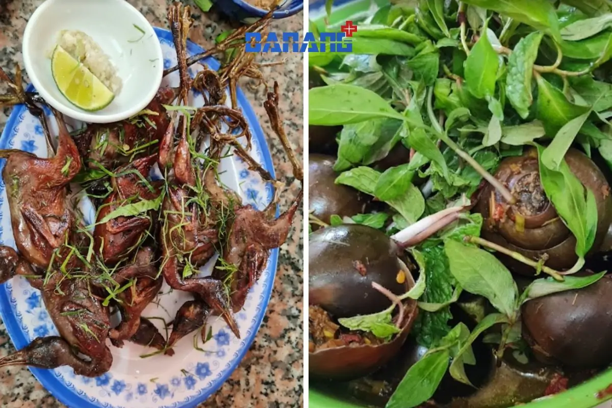 TOP 6 quán nhậu Hòa Hải Đà Nẵng vừa ngon vừa rẻ nhưng ít ai biết 20 Quán nhậu Gió Đồng hòa hải đà nẵng