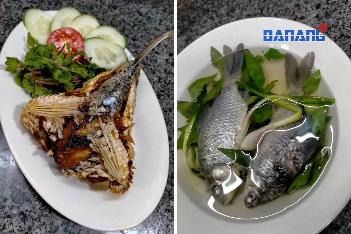 TOP 6 quán nhậu Hòa Hải Đà Nẵng vừa ngon vừa rẻ nhưng ít ai biết 29 món ăn quán nhậu cây me đà nẵng