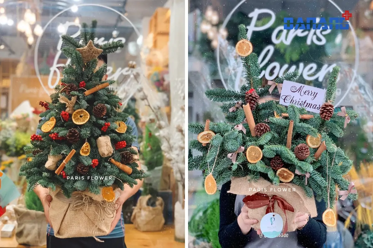 Paris Flower - shop bán đồ trang trí noel ở đà nẵng