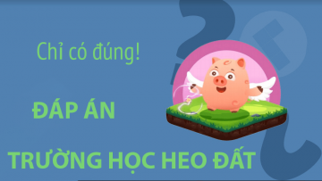 Dáp án Trường Học Heo Dất