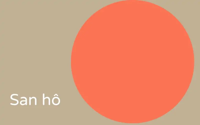 San hô