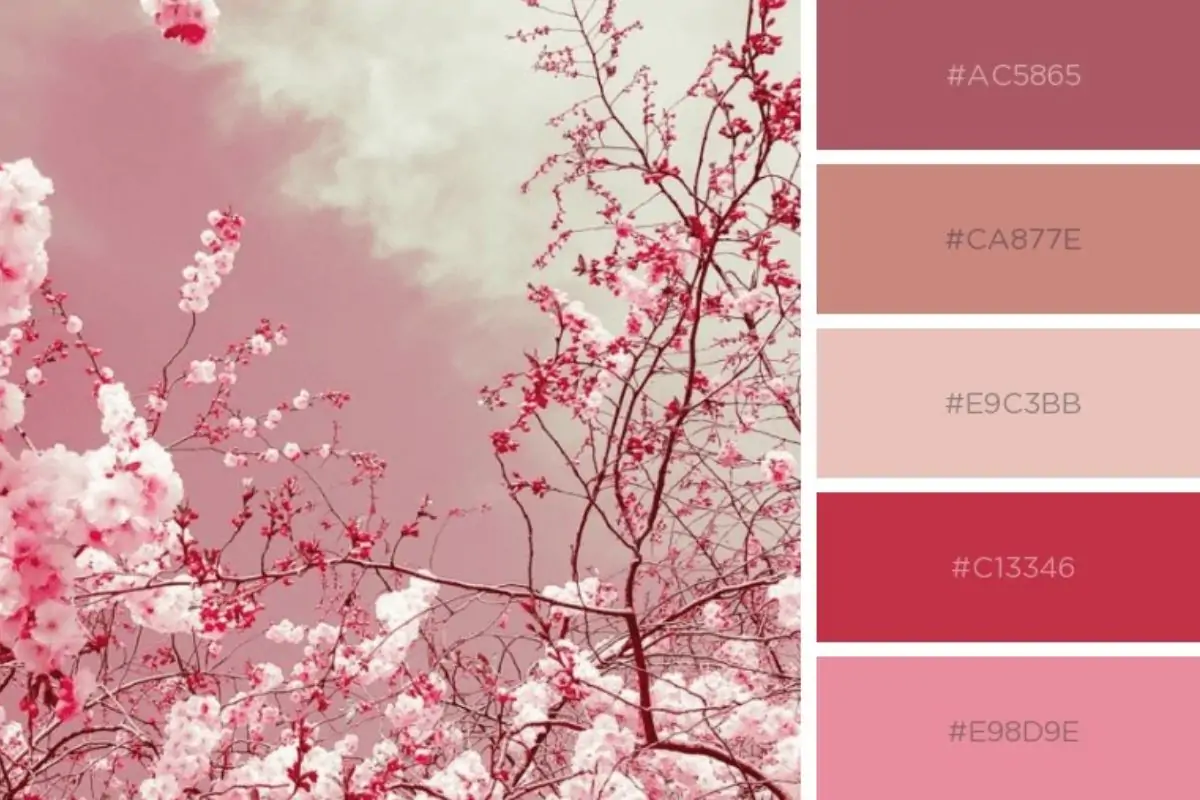 Cách pha màu hồng pastel chuẩn nhất với các bước đơn giản 13 cách pha màu hồng pastel