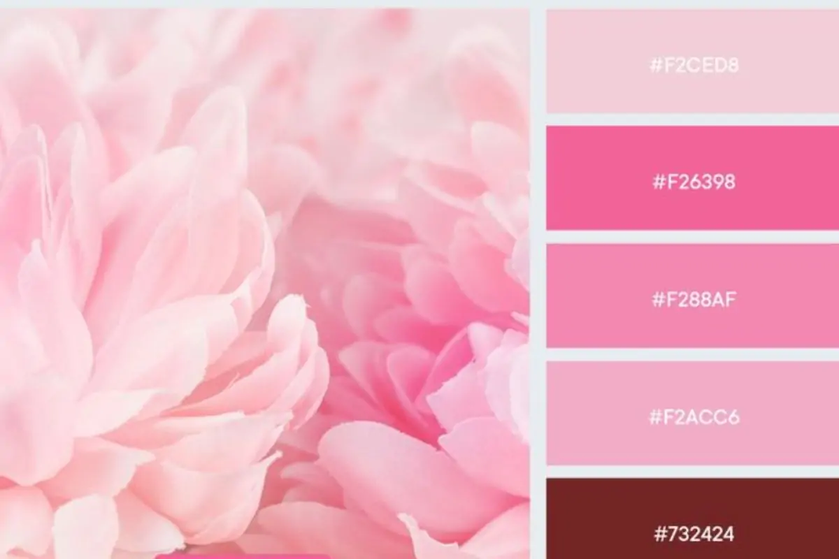 Cách pha màu hồng pastel chuẩn nhất với các bước đơn giản 14 cách pha màu hồng pastel