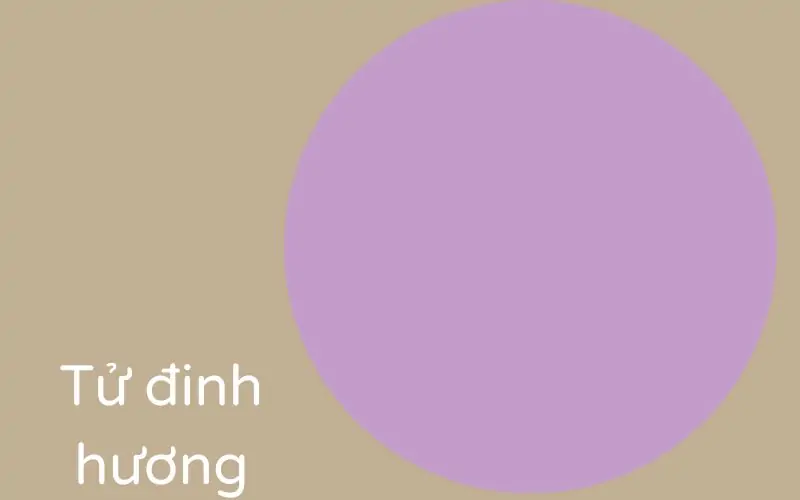 Cách pha màu tím: Cứ pha là lên màu chuẩn không cần chỉnh 37 tử đinh hương