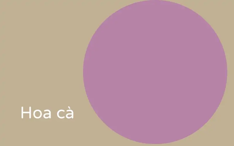 Cách pha màu tím: Cứ pha là lên màu chuẩn không cần chỉnh 42 Hoa cà