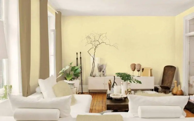 Chi tiết: Cách pha màu vàng kem chuẩn xác nhất 14 Vàng kem là màu gì?