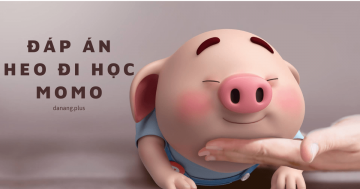 đáp án heo đi học