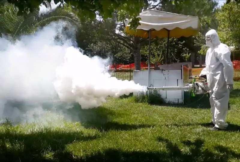 Phun thuốc ngừa bệnh: