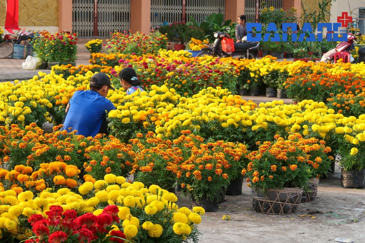 chợ hoa Đà Nẵng 2023