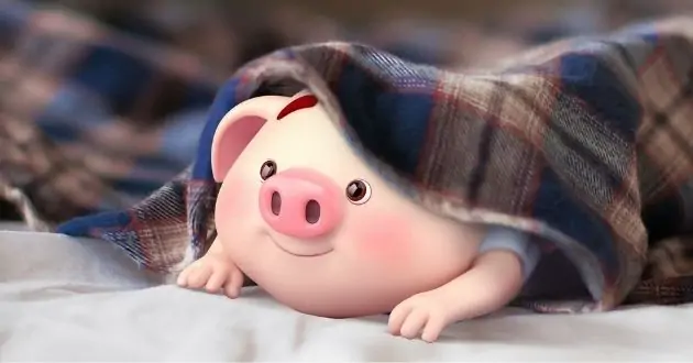 Gia chủ tuổi Hợi chọn người xông đất 2023 tuổi nào may mắn? 12 Tổng quan về tuổi Hợi trong năm 2023