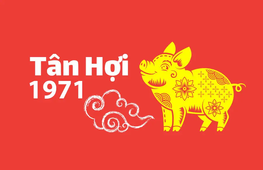 Gia chủ tuổi Hợi chọn người xông đất 2023 tuổi nào may mắn? 16 Xông đất 2023 cho gia chủ tuổi Tân Hợi 1971