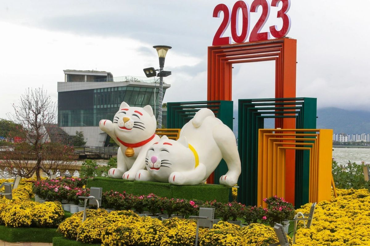 mèo đà nẵng 2023