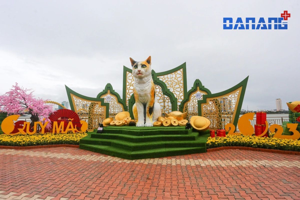 mèo đà nẵng 2023