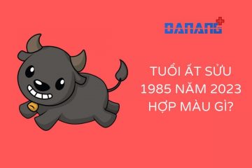 Tuổi Ất Sửu 1985 năm 2023 hợp màu gì