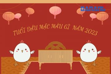 Tuổi Dậu mặc màu gì năm 2023